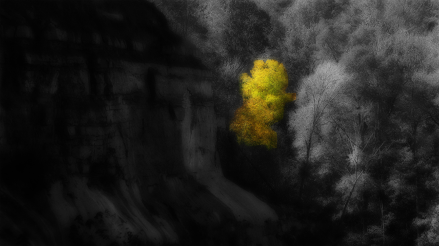 A lone tree with yellow leaves against a rock wall during autumn in Tennessee.