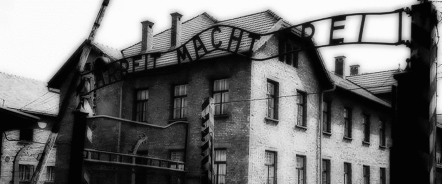 Steve Pollock | Pictures